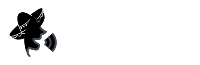 Habladurias.com, Puro Cotorreo Mexicano